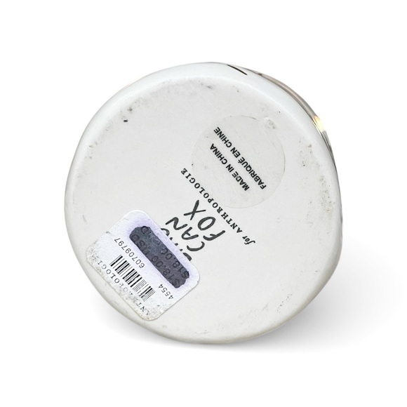 RARE NWT Anthropologie BIRDCANFOX Kitten Planter - Picture 10 of 10